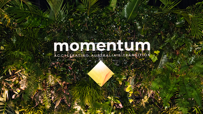 Momentum conference logo