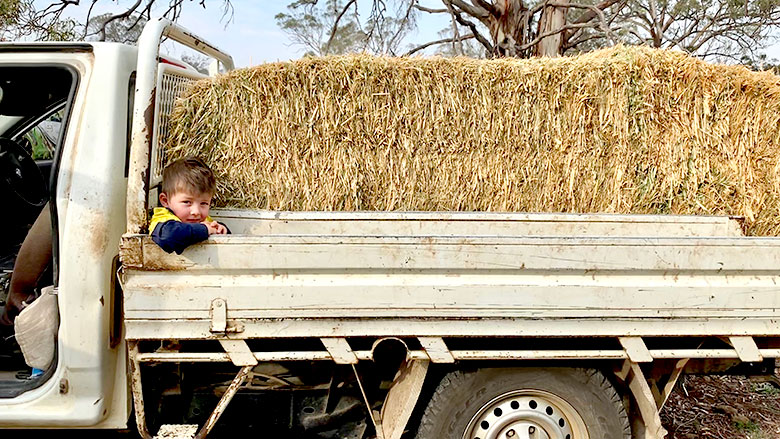 Child in ute with bale of hay 